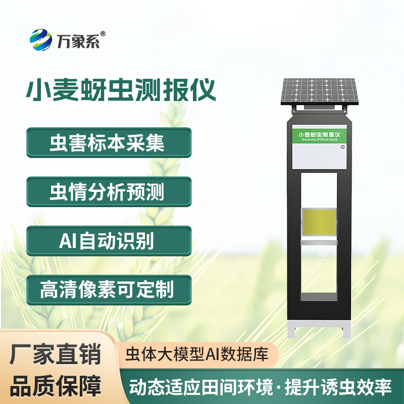 小麥蚜蟲測報儀,保障小麥健康成長的利器之一